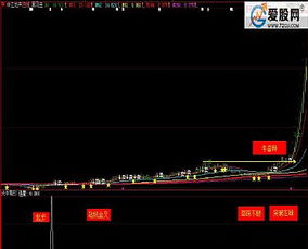 大牛有形 通达信 大智慧副图 选股指标 贴图 加密